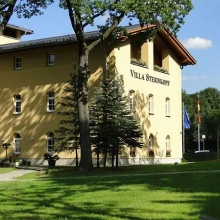 Sternkopf Rittersgruen ברייטנברון