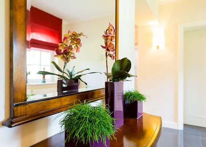 فندق Sternkopf Suiten Rittersgrun 5*