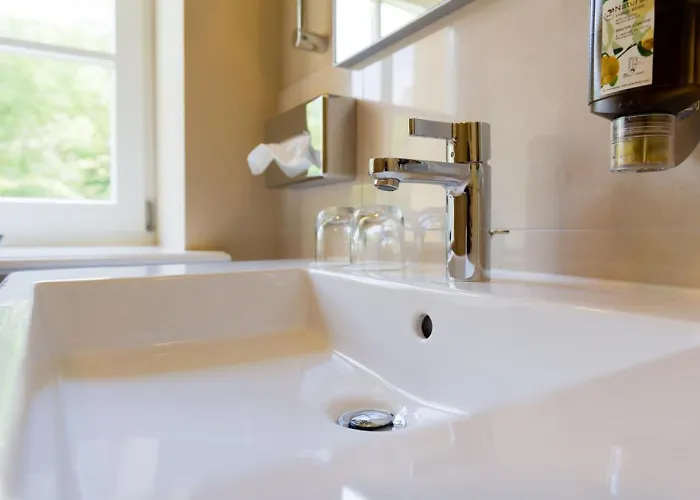 فندق Sternkopf Suiten Rittersgrun 5*